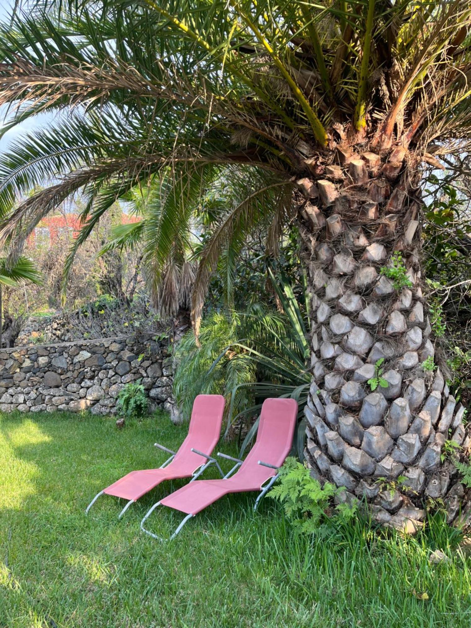 Feriendomizil Finca Tijarafe Mit Beheiztem, Abdeckbarem Pool 外观 照片