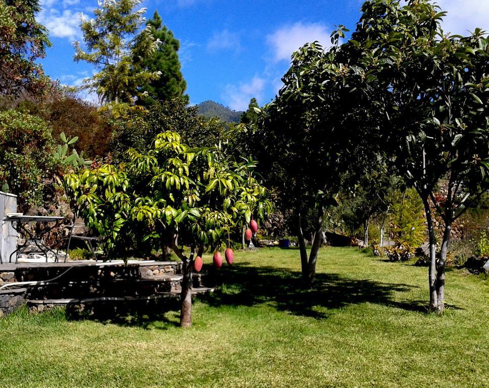 Feriendomizil Finca Tijarafe Mit Beheiztem, Abdeckbarem Pool 客房 照片